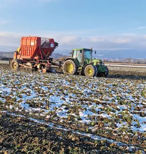 Schwierige Bedingungen begleiteten die Zuckerrübe während des gesamten Anbaujahres 2023.