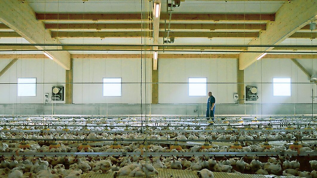 Beim Produzenten die Realität abbilden und die Bauernfamilien erzählen lassen. So wird heute für Schweizer Fleisch geworben.