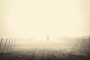 Erscheint einem im Winter alles trübe, man ist niedergeschlagen, antriebslos und gereizt, könnte man an Winterblues oder sogar an einer saisonal abhängigen Depression (manchmal auch Winterdepression genannt) leiden.