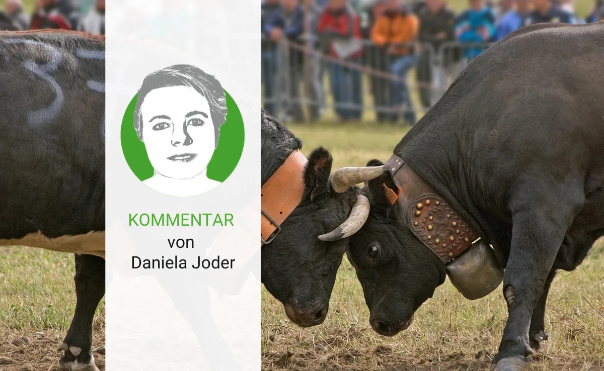 Kommentar_eringer Mit der Eringerkuh hat PETA sicher nicht die Spitze des Tierzucht-Irrsinns erwischt