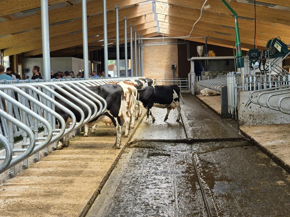 Bild_Quergefälle Ammoniakemissionen im Stall: Wie kann der Tierhalter diese reduzieren?