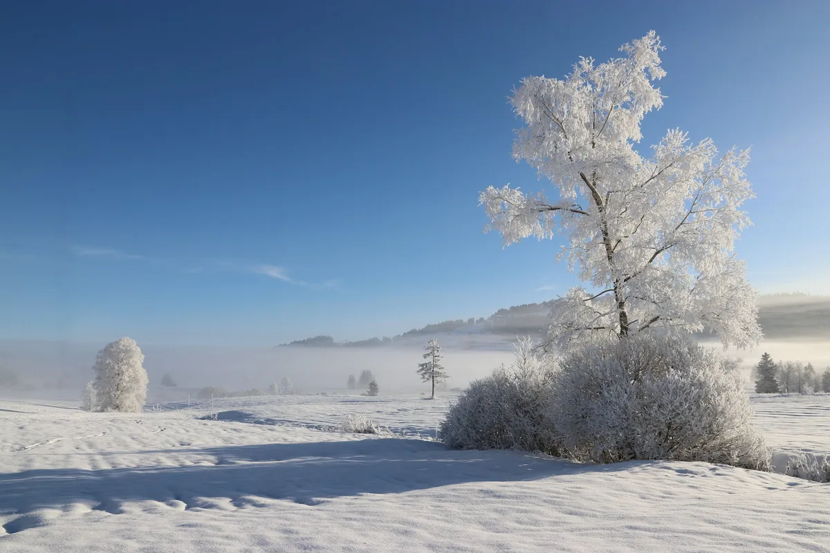 BZ-MAG2-51-Wetter-sjh2 Je mehr Törli sich im Adventskalender öffnen...