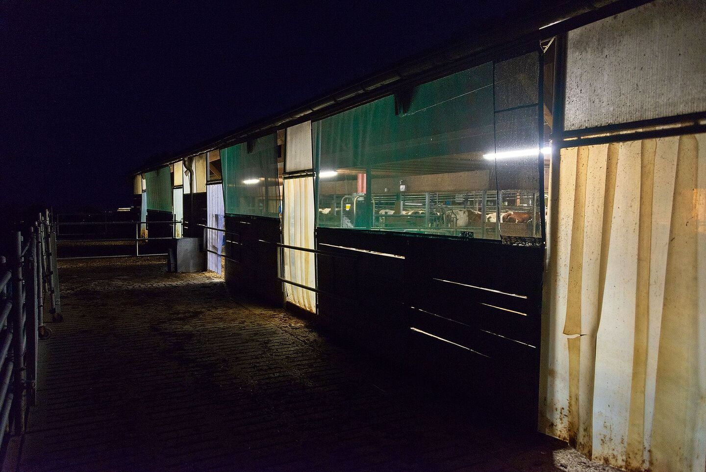 Ein Landwirtschaftsbetrieb braucht deutlich mehr Strom als ein durchschnittlicher Haushalt. Im Gegensatz zu einem leeren Zimmer kann man im Stall aber nicht ohne Weiteres das Licht löschen.