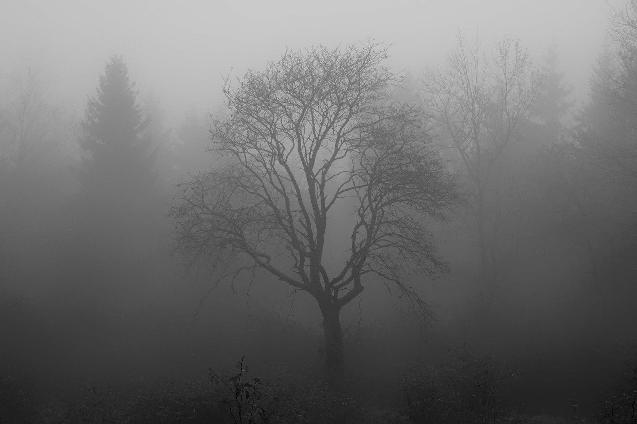 Wenn einem die Decke auf den Kopf fällt, können die Notfall-Karten des Inforama helfen. (Bild Pixabay)