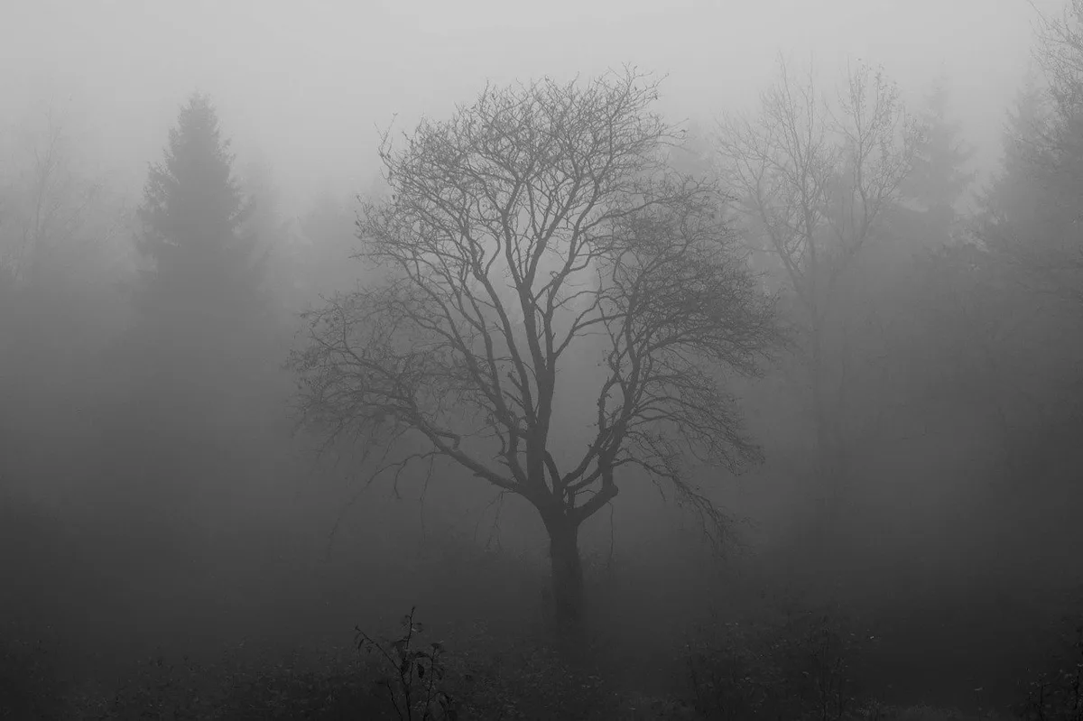 Wenn einem die Decke auf den Kopf fällt, können die Notfall-Karten des Inforama helfen. (Bild Pixabay)