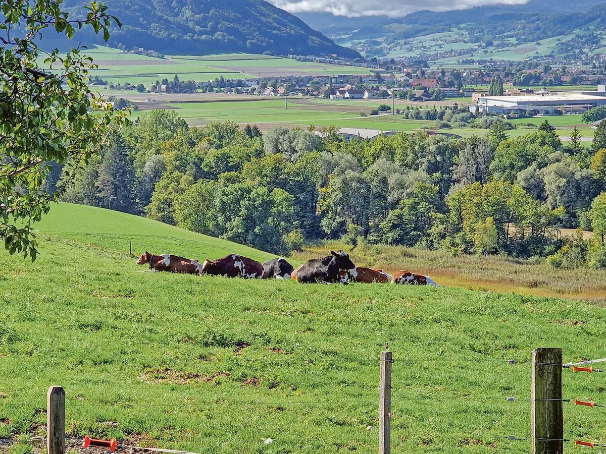 19a444c5afd2eedcd8f9e4ac5c0dc5dd78773cdb60764b91f82298e812c2e3ad RAUS und der Weidebeitrag gibt in vielen Kantonen zu reden. Es bestehen Unsicherheiten.