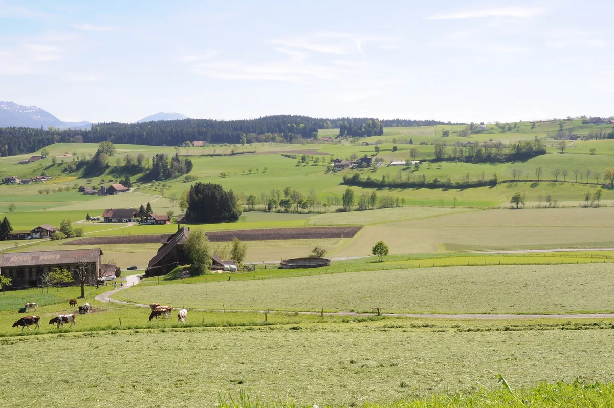 c83f488c331b6e963cabed1d751c40692f731498 Die Luzerner Landwirtschaft soll vermehrt auf Regionalität setzen, im Bild das Rottal. (Symbolbild ag)
