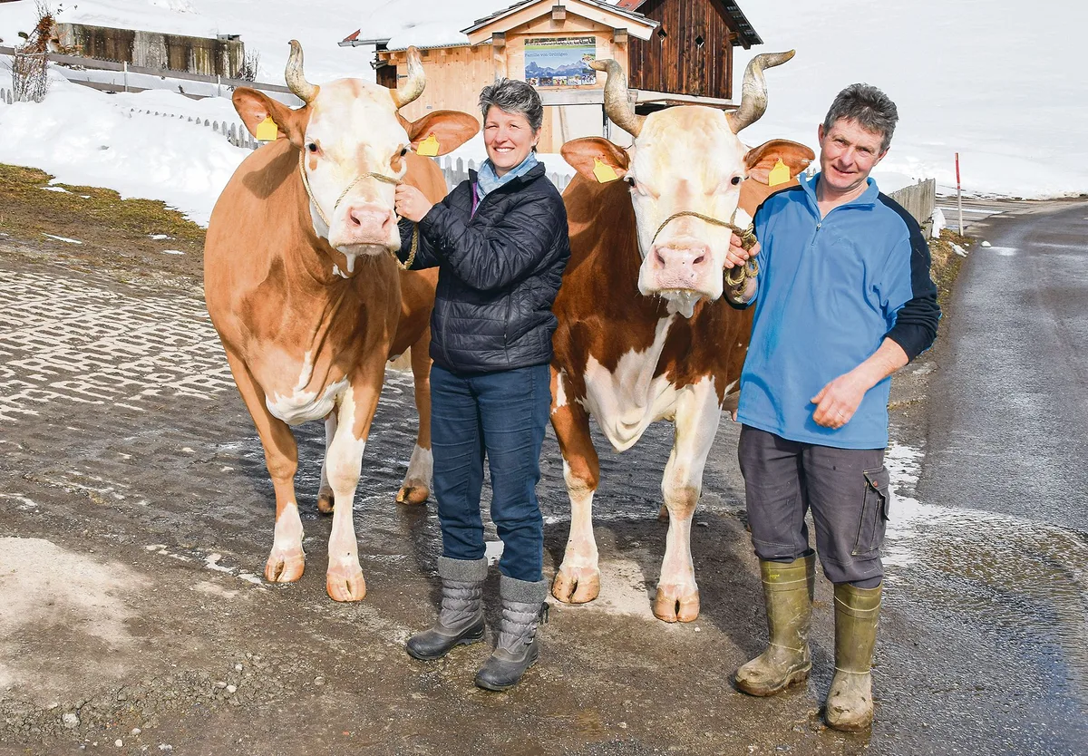 8f7eb716a72425c10d28876f1d0daa368747cbef Anita und Johann von Grünigen mit zwei ihrer Top-Kühe: Achill Torina (links) stammt von der legendären Omega ab und rechts die zwölfjährige Silvan Kenia. (Bilder Peter Fankhauser)