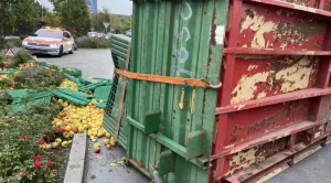 Beim Unfall kippte der Anhänger auf die Seite, die Äpfel rollten auf die Strasse.