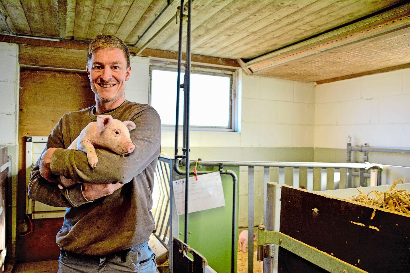 Auf Schweine spezialisiert: Michael Hunkeler in einem der Abferkelzimmer auf seinem Betrieb im luzernischen Altishofen.