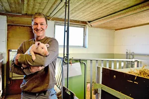 Auf Schweine spezialisiert: Michael Hunkeler in einem der Abferkelzimmer auf seinem Betrieb im luzernischen Altishofen.