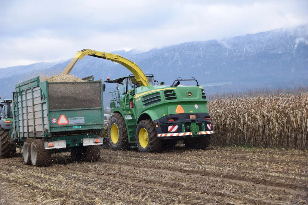 e934462a46b58e1a37c1ee16c8a1562cb96f7656 Wenn die Maisrückstände nach dem Ernten mechanisch zerstört werden, kann der Maiszünsler nicht überwintern. (Bilder bs)