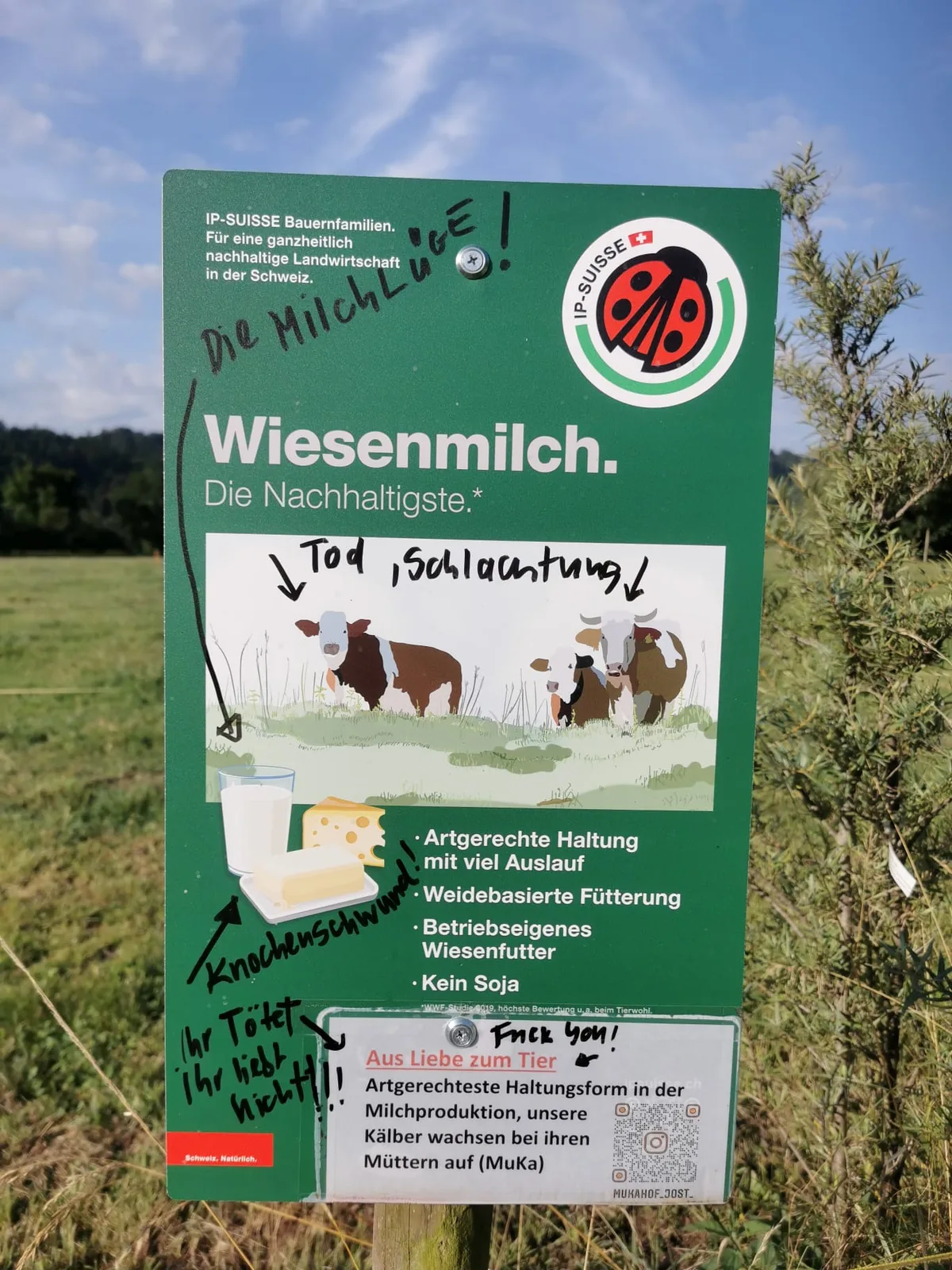 MuKa-Bauer wird beschuldigt: «Ihr liebt nicht, ihr tötet»