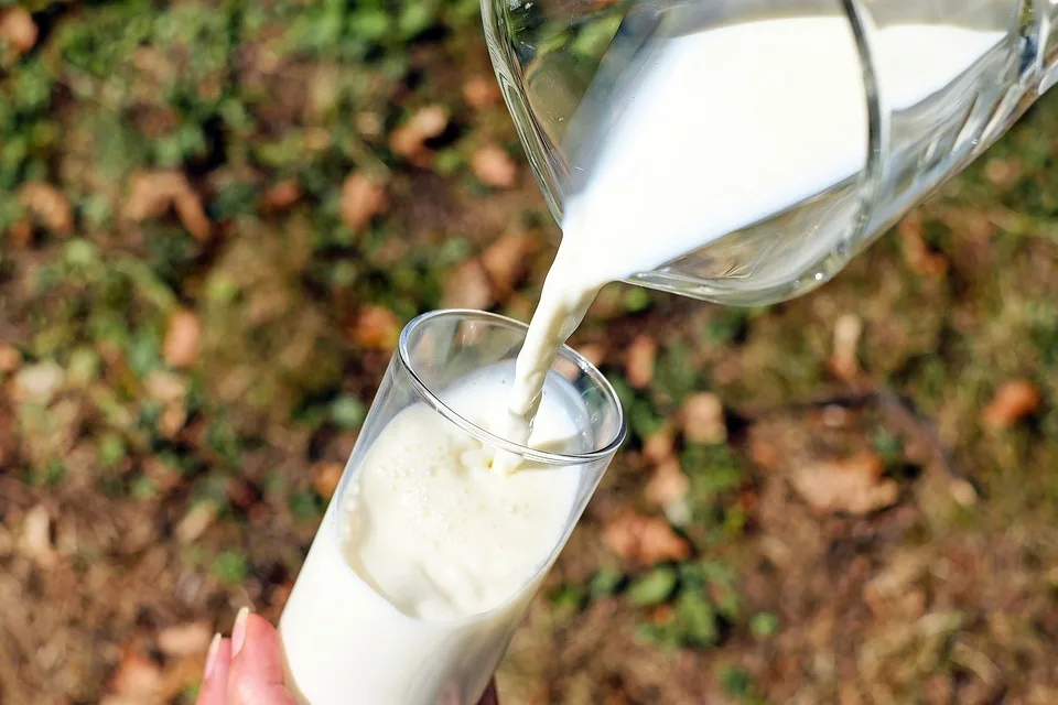 milch_symbolbild Biomilch-Produktion ist nicht einfacher geworden