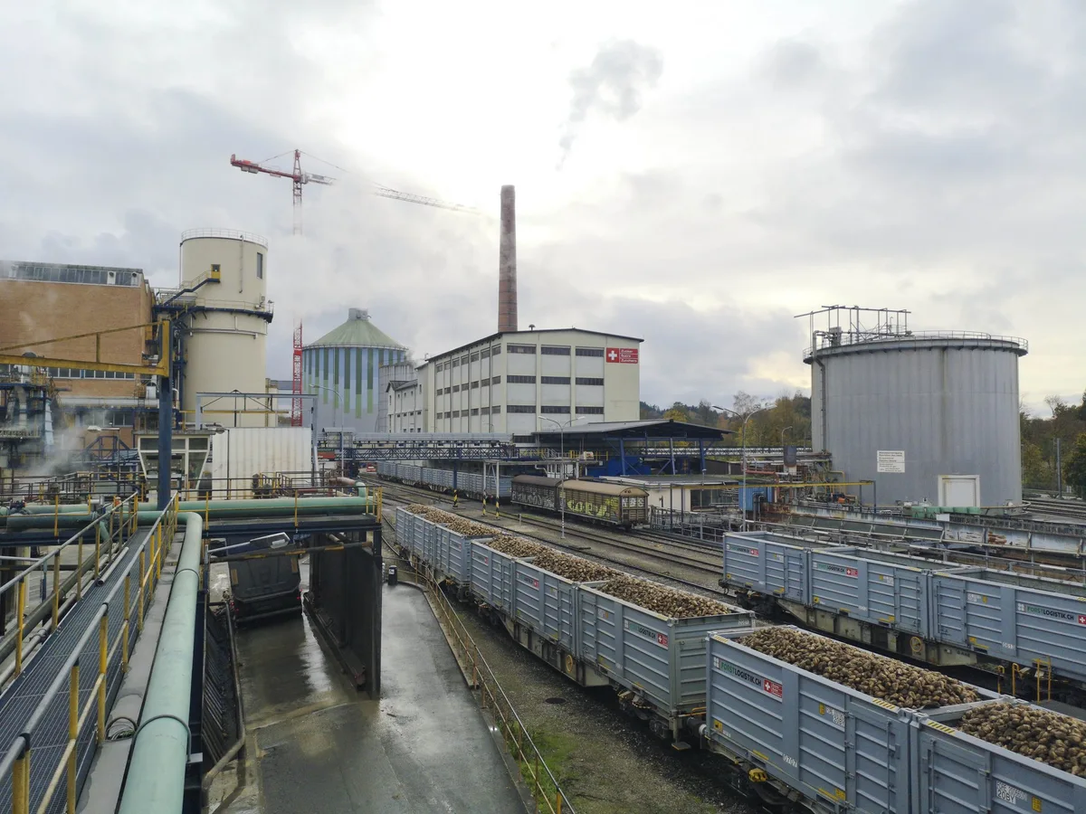 Zuckerfabrik_Aarberg_2019_mk Kampagnenstart in schwierigem Umfeld
