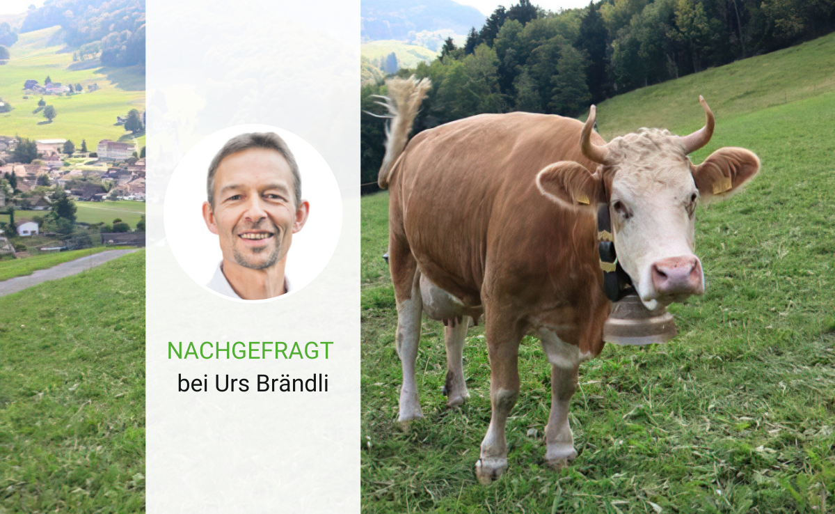 Urs Brändli, wann kommt denn das Enthornungsverbot?
