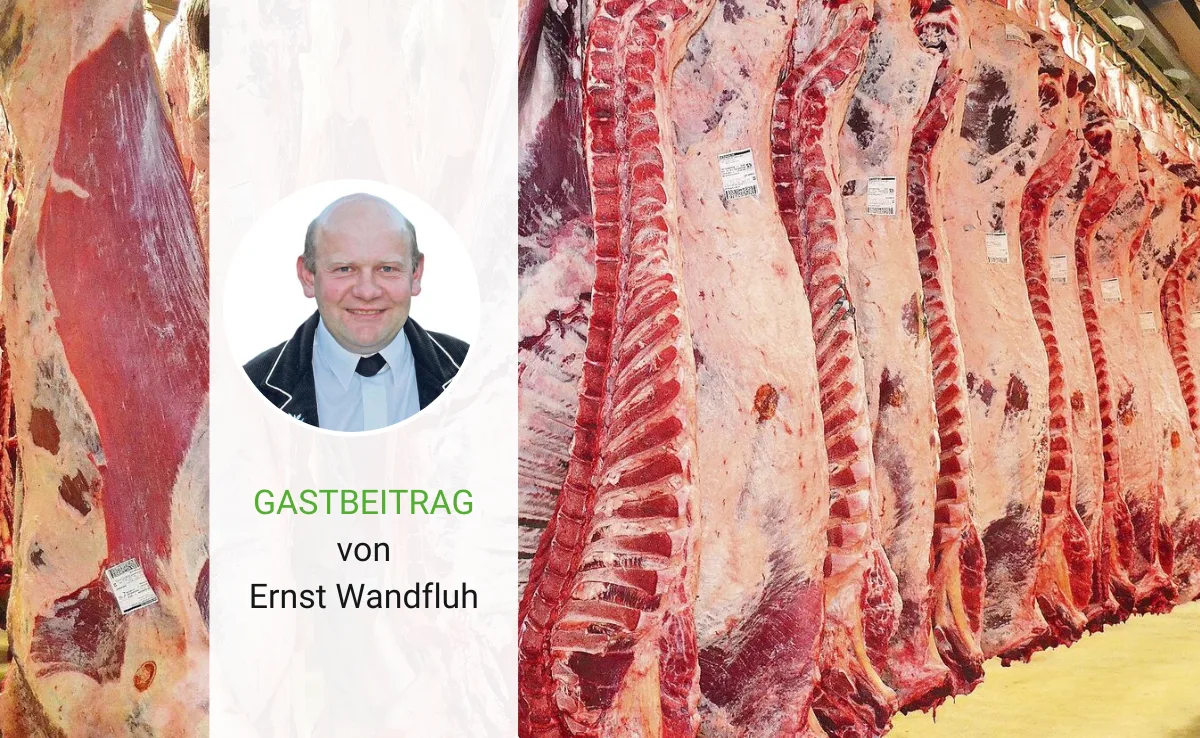 Artikel_Gastbeitrag_BauZ_WandfluhFleisch Wie «gesund» ist die Fleischbranche?