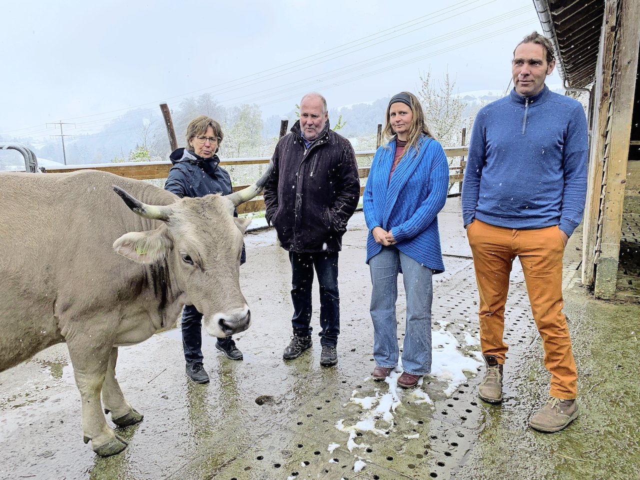 Neue digitale Plattform bietet Hilfe für ausserfamiliäre&nbsp;Hofübergabe