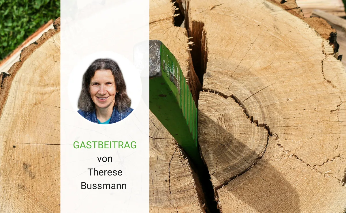 Ziehen! Halt! Bremse lösen