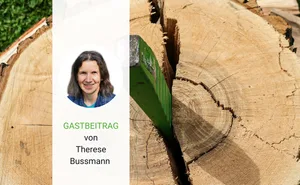 Therese Bussmann aus Menzberg LU ist Bäuerin und Mutter von sechs erwachsenen Kindern.