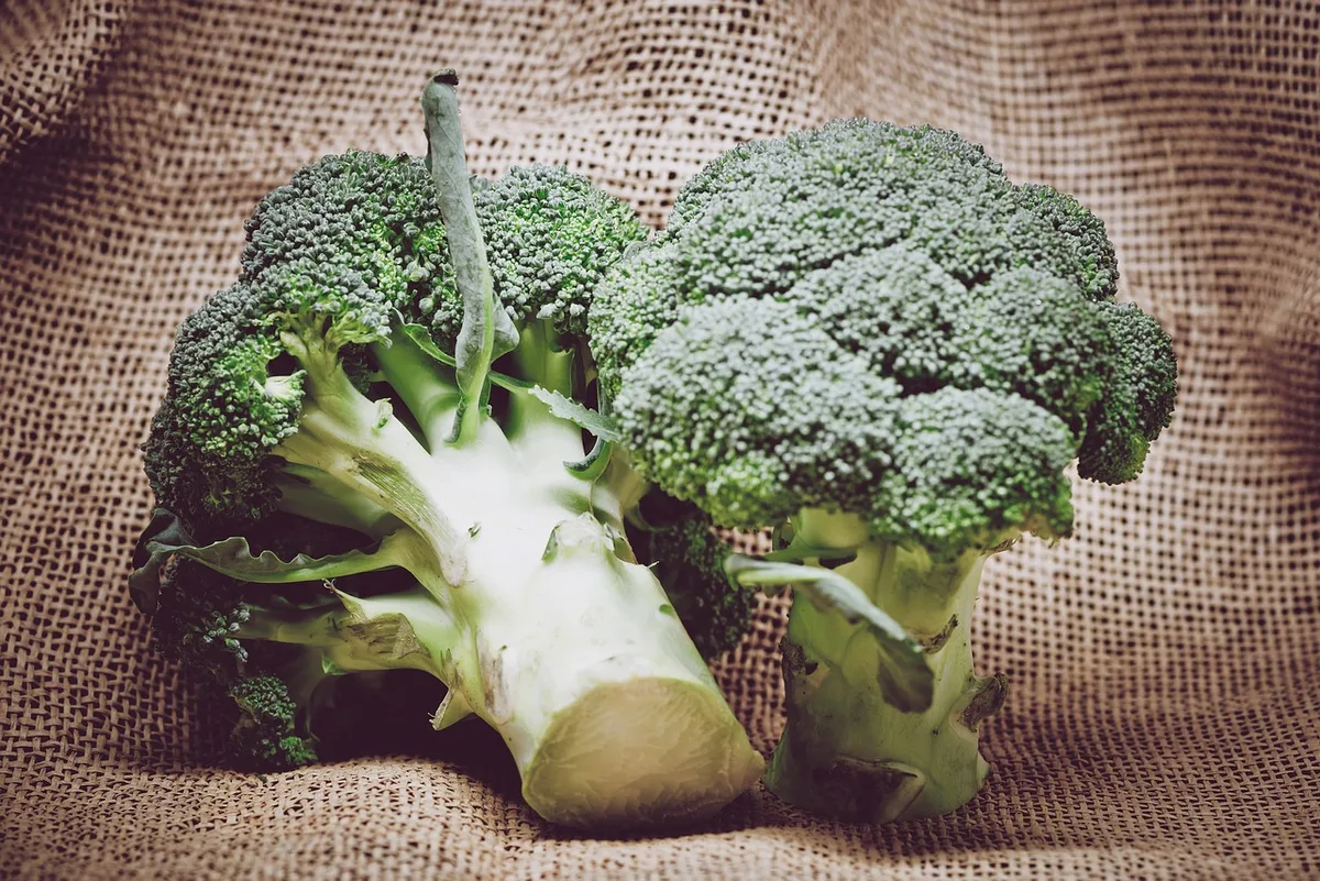Beim Broccoli kann man sowohl den Stängel als auch die Blätter und Rösschen verspeisen. (zVg)