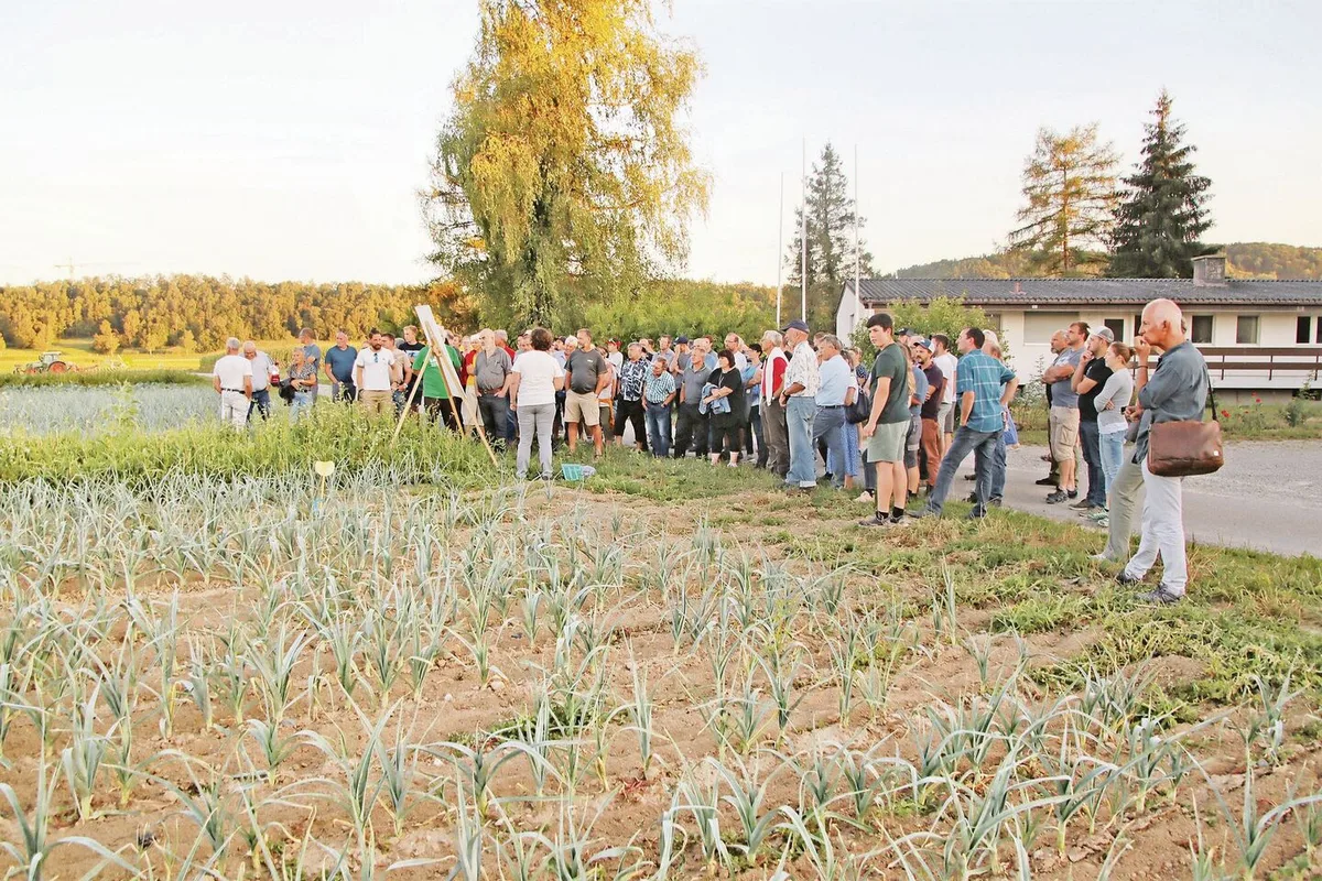 Die zwischen dem Lauch angelegten Blühstreifen sind Teil des ZiBif-Projekts.