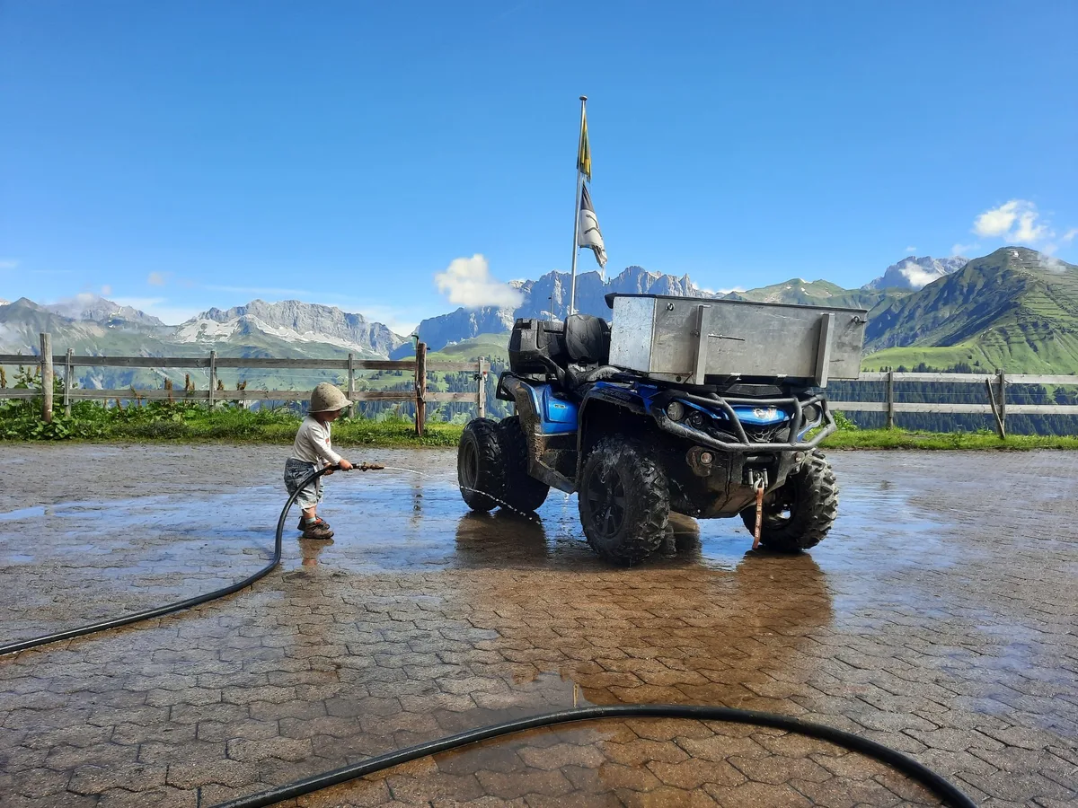 BZ-LAN29-3-Alp-6 Turbulente Tage auf der Alp