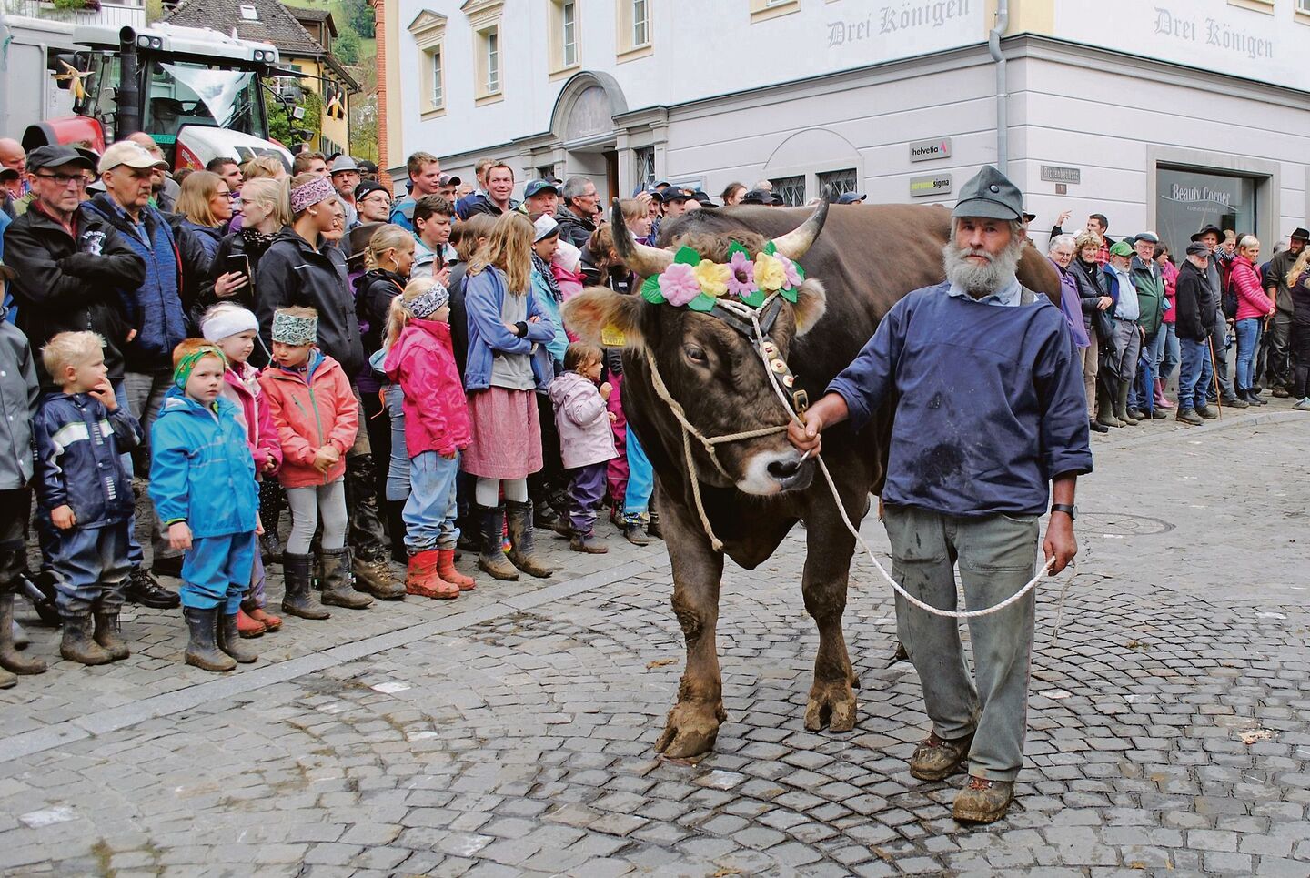 Ein traditioneller Höhepunkt der Schwyzer Bezirksviehschauen mit viel Publikum: Umzug nach der Viehschau durch den Kantonshauptort.