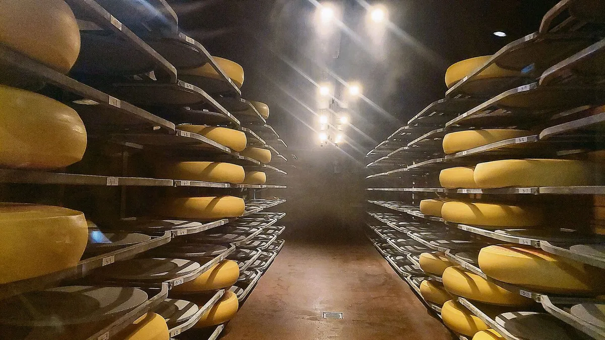 c2eafdc6f3815210322b4263f7838b8129759fd6e1160a991b9b00bf0c0be77e Die Käselaibe des Käseherstellers Emmentaler AOP sind traditionellerweise grösser als andere Käse.