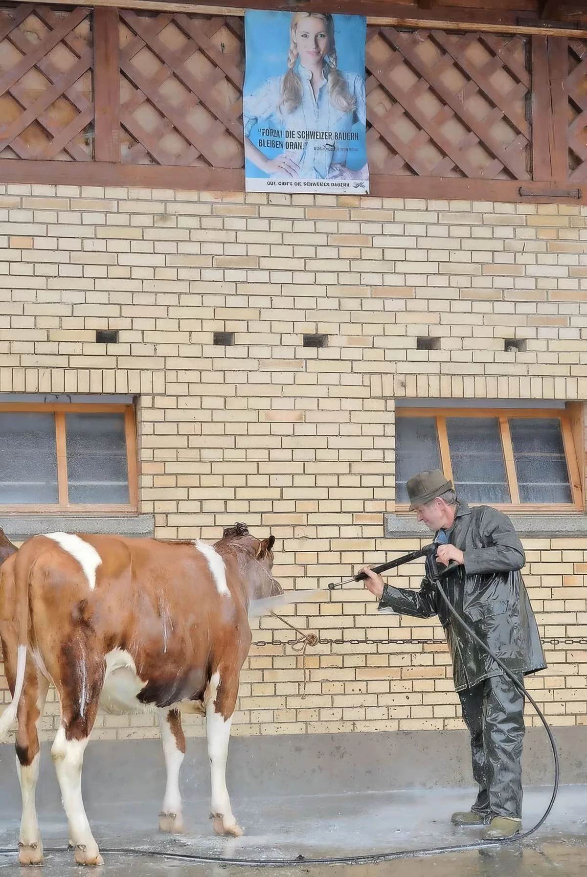 Nach dem Waschen brauchen die Tiere Futter