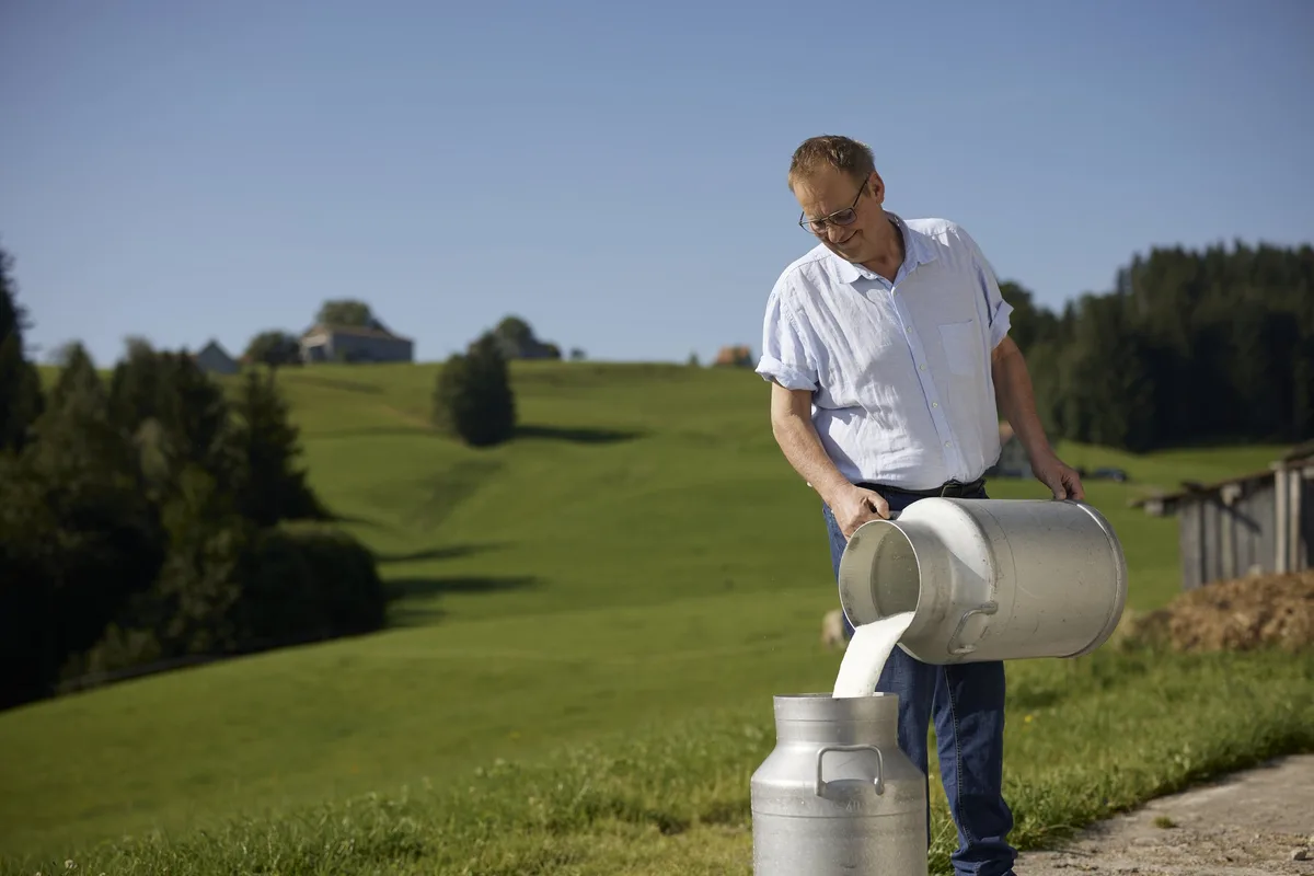 Lidl stellt sein Trinkmilchsortiment auf Bio und IP-Suisse-Wiesenmilch um