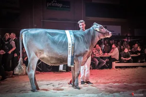 Den letzten GP von Sargans hat die zweijährige Zrotz Brice Vera von Three-Salzgeber aus Pany GR gewonnen.