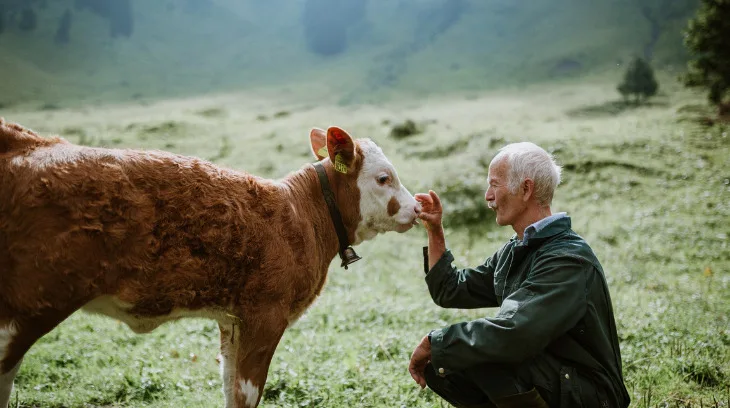 5b19df367ce3ed1215d9ffa7a6182fdd07bfef79 Einen Tag lang «dem Alpleben frönen» – mit Käse und tierischen Erfahrungen. (Bild zVg)