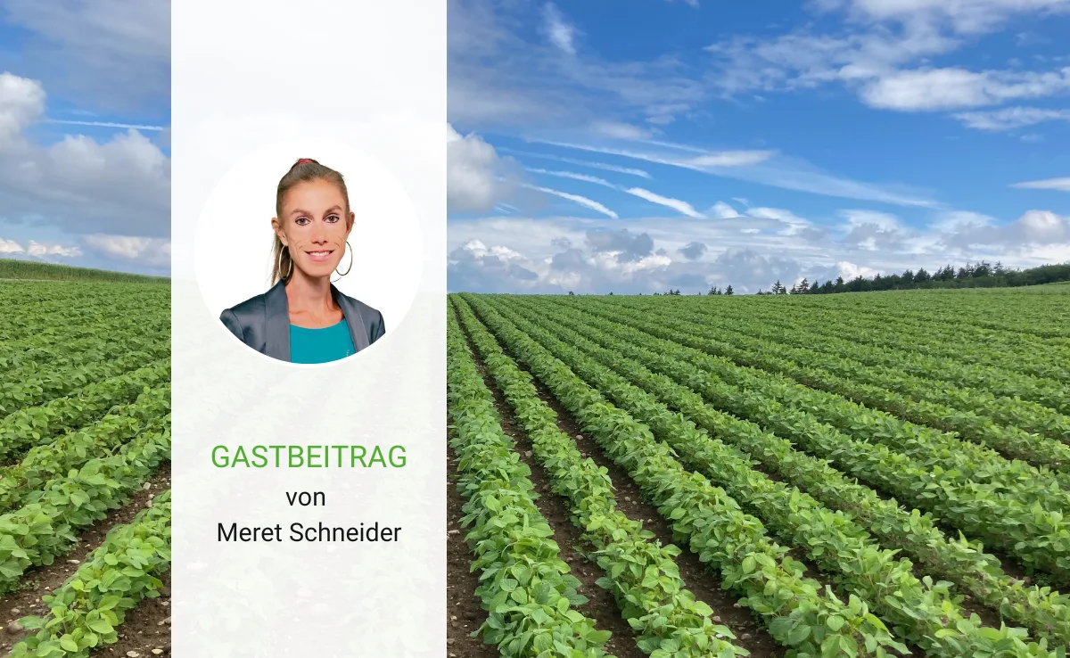 Artikel_Gastbeitrag_BauZ__4_ Brücken statt Barrikaden zum Tag der Pausenmilch