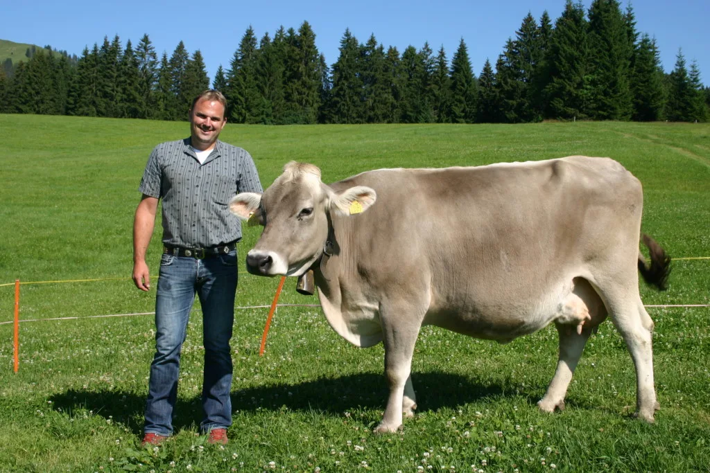 1b715ca44e98cc33225ff698e84c8b87e0d159df Scharfer Kritiker des Bundesrats: Marcel Dettling mit einer seiner Kühe auf dem Betrieb der Familie in Unteriberg. (Bild zVg)