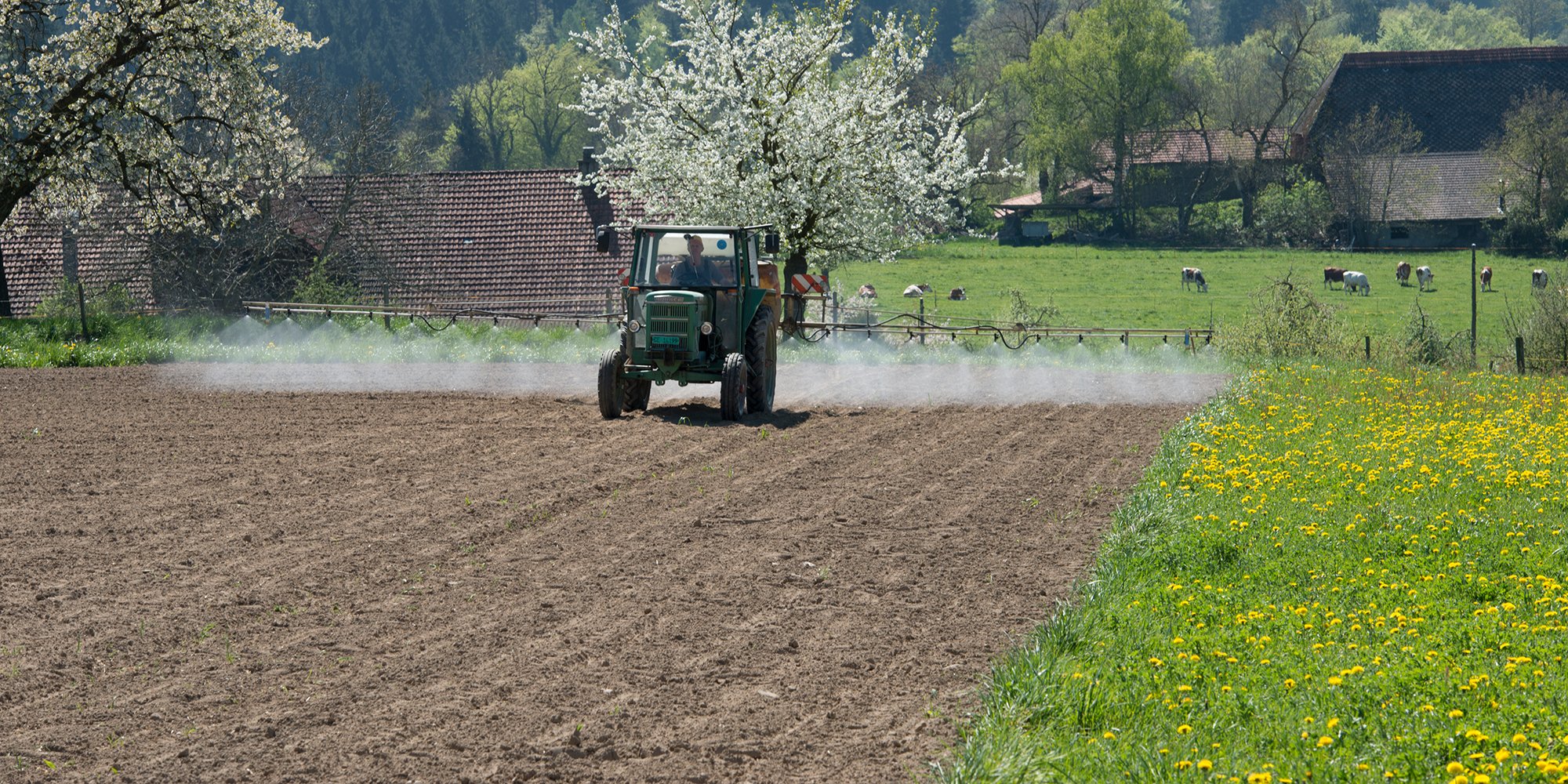 Strategisch, kostenminimiert, Low-Input: Beim Pflanzenschutz gibt es verschiedene Praktiken