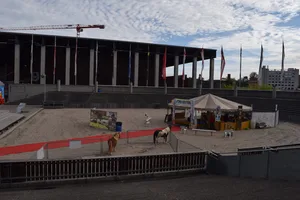 Sinnbildlich für die diesjährige Mini-Olma: Eine menschenleere Arena. (Bilder Stefanie Giger)