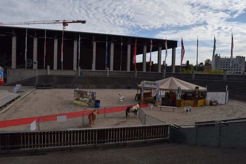 97bd4b44b0ff4ac80c9522092bb70e1bc53c6125 Sinnbildlich für die diesjährige Mini-Olma: Eine menschenleere Arena. (Bilder Stefanie Giger)