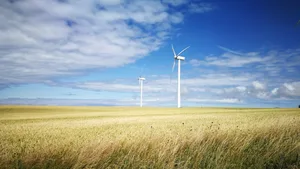 Rund drei Viertel der Fläche Dänemarks werden landwirtschaftlich genutzt. Die Bauern sollen neu eine Steuer von 150 Franken pro Tonne CO2 zahlen.