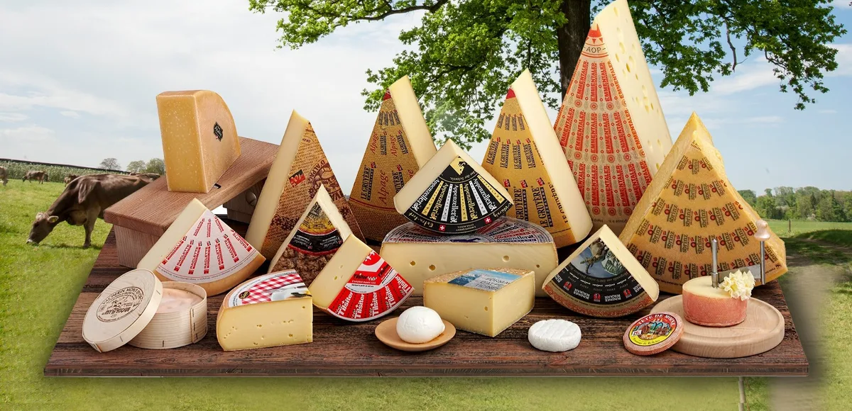 9e1d70db713d7533dfc91b937c18c4c617be97d4 21 Kilo Käse in diversen Variationen werden hierzulande pro Kopf und Jahr gegessen. Im Agroscope-Versuch liess sich der Jod-Gehalt von Tilsiter, Gruyère und Camembert deutlich steigern. (Bild Switzerland Cheese Marketing)