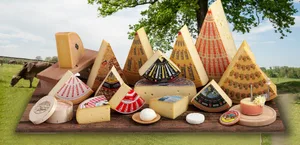 21 Kilo Käse in diversen Variationen werden hierzulande pro Kopf und Jahr gegessen. Im Agroscope-Versuch liess sich der Jod-Gehalt von Tilsiter, Gruyère und Camembert deutlich steigern. (Bild Switzerland Cheese Marketing)