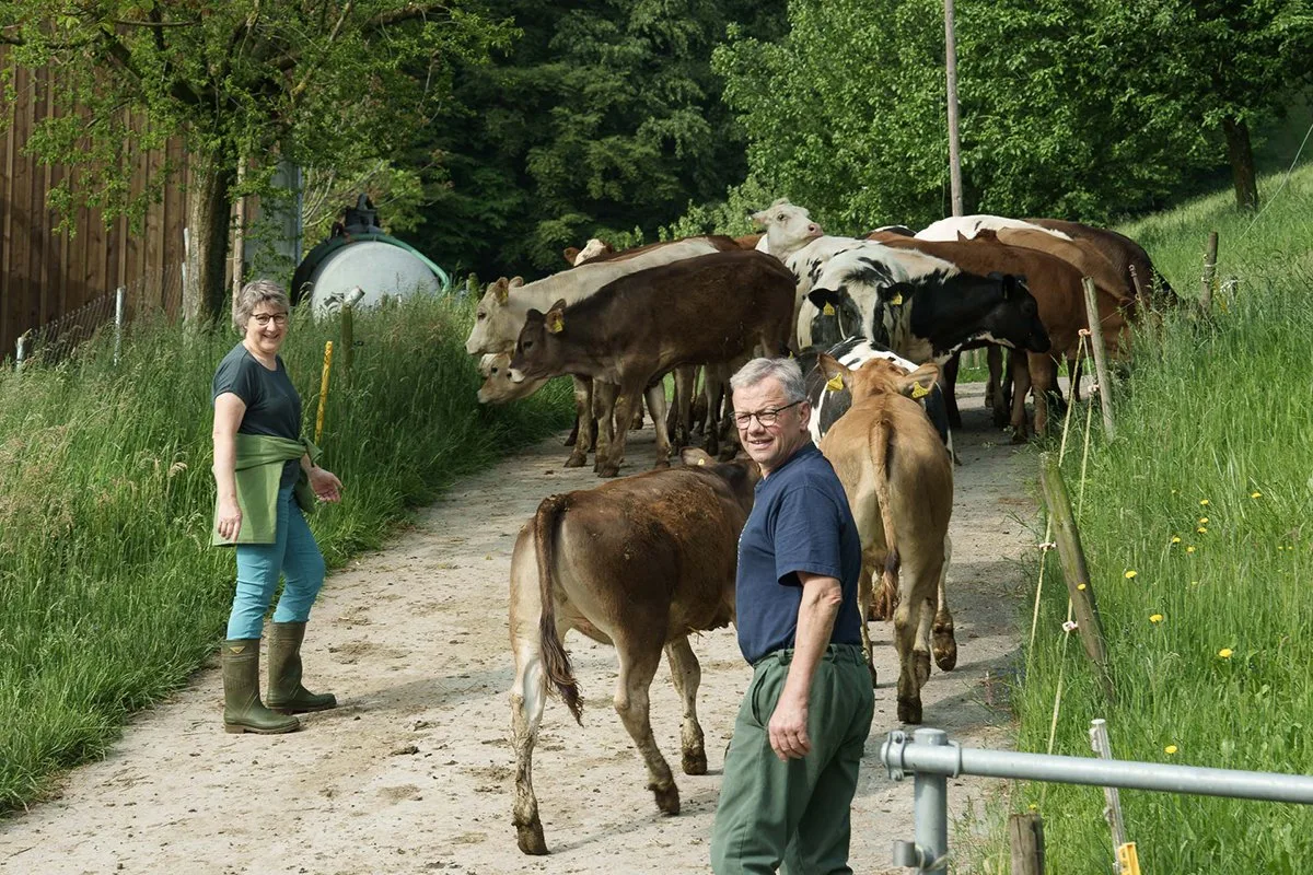 agrisano-bauernzeitung-advertorial-start1-bild-agri-revenu-1200-800px Taggeldversicherung — kein Luxus, sondern eine Notwendigkeit