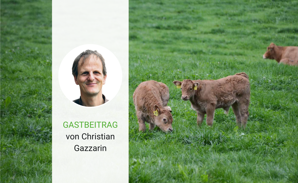 Fleisch aus Gras – für Geld und Geist