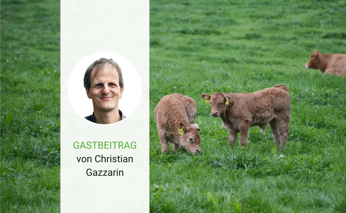 gastbeitrag-gazzarin-40 Fleisch aus Gras – für Geld und Geist