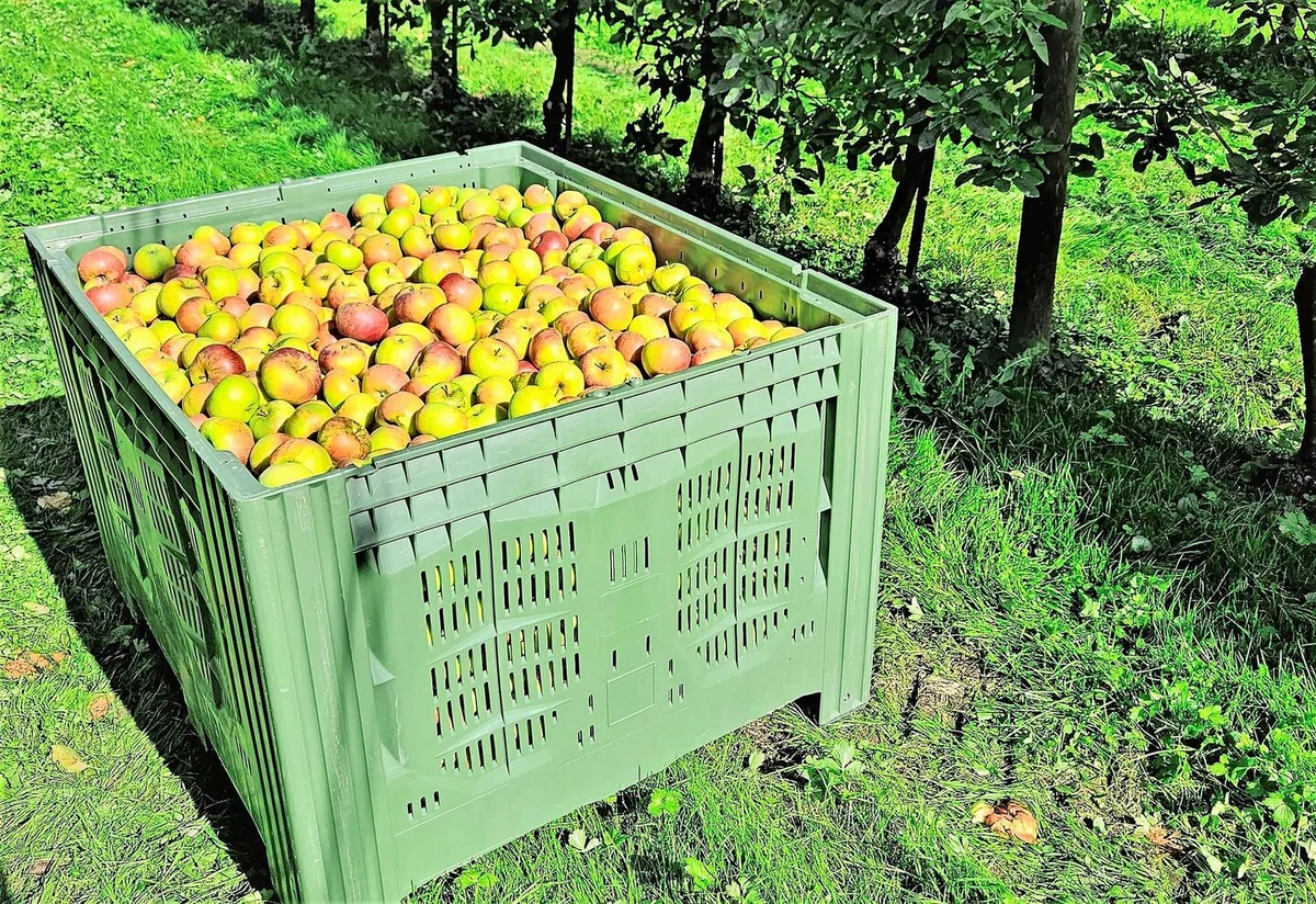 Die Ernte in den Obstanlagen läuft und die Paloxen werden wieder mit schönen Äpfeln und Birnen gefüllt.
