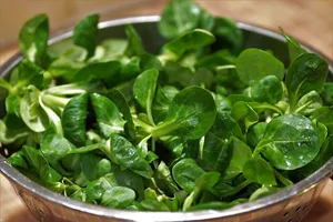 Jetzt beginnt wieder die Hauptsaison des Nüsslisalates. (Bild Pixabay)