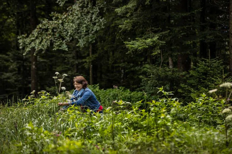 dcedcb35391d7a6a5cb1ef38b8f88c38ea7fa073 Im Buch sieht man Edith Aschwanden Kerbel pflücken. Das hat einen Grund: Vor dem Fotoshooting regnete es in Strömen und alles war pflotschnass. Deshalb brachte sie die wenigen verbliebenen Blumen am Vorabend zum Trocknen in die Garage. (Bild Tina Sturzenegger)