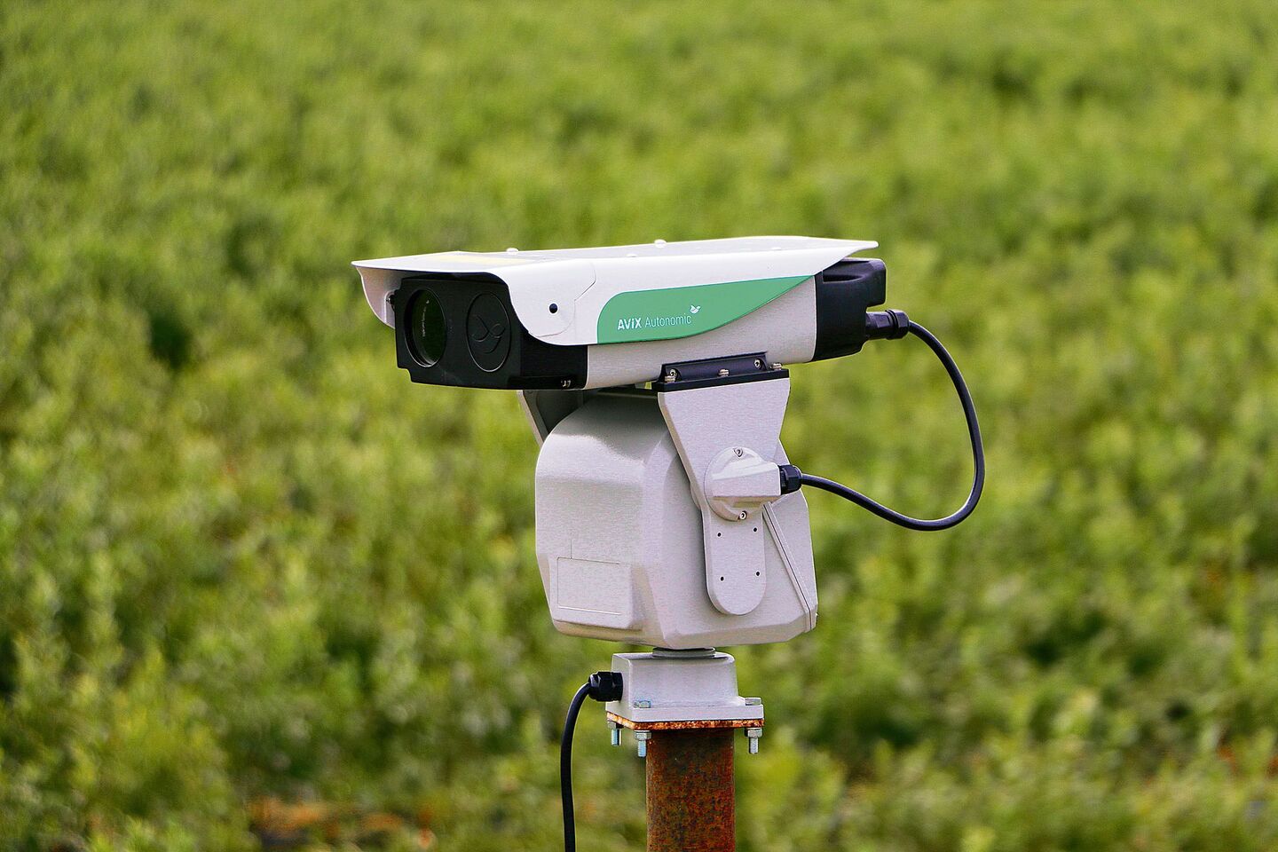 Die Rechtslage ist vor allem für die automatische Version der Laser-Vogelabwehr kompliziert.