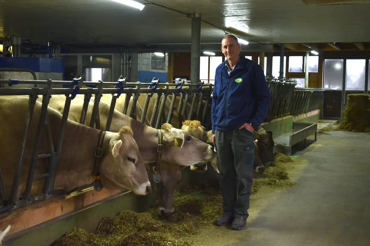 Mani-Fritz-Stall Futterzusatz Bovaer hält Einzug in Schweizer Ställe