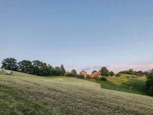 Weil die Erntebedingungen nicht immer so wolkenlos waren wie hier im Bild, ist mit tiefen TS-Gehalten (20 bis 25 % TS) zu rechnen. Das führt zu einem anderen Gärsäuremuster.